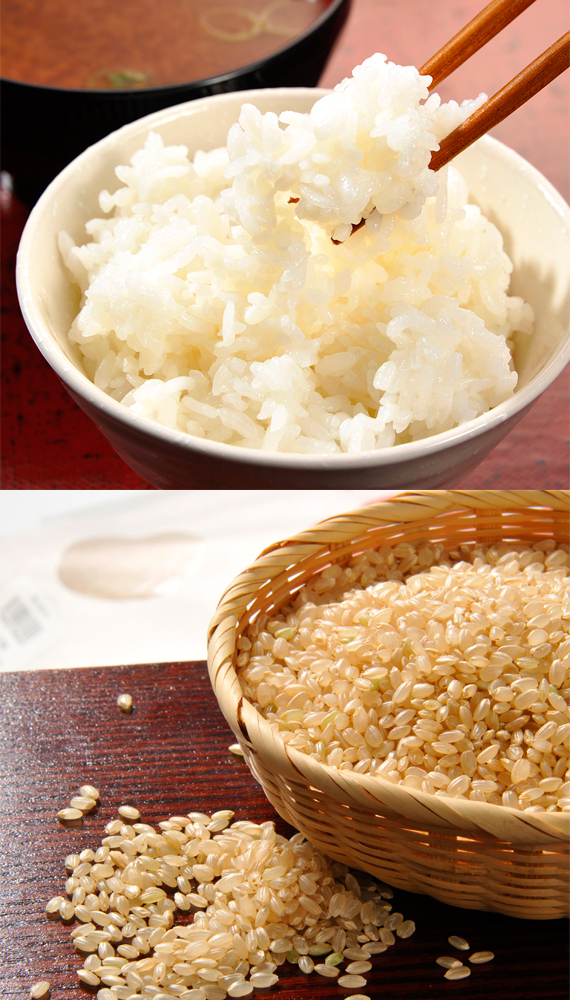 令和7年産 玄米 那珂川の清流ホタル米 2kg~30kg - 桂農産 お取り寄せ 